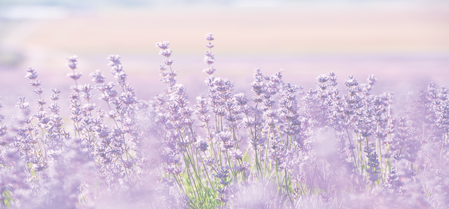 Women Health Quizzes - lavenderflowers50 1685885203833